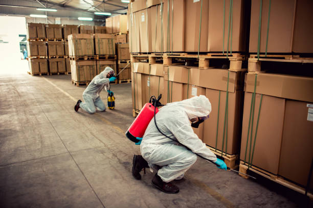 Best Best Pest Control Companies  in Eagle, CO